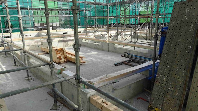 园林绿化预算定额套用解析：关键步骤与注意事项**