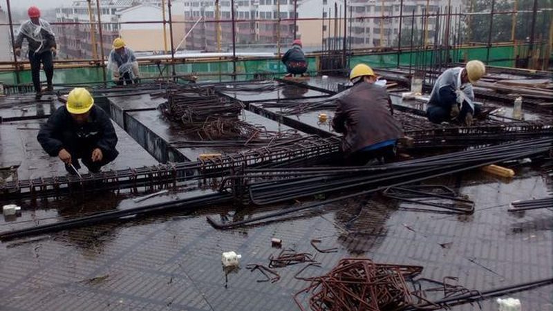 园林绿化预算定额套用解析：关键步骤与注意事项**